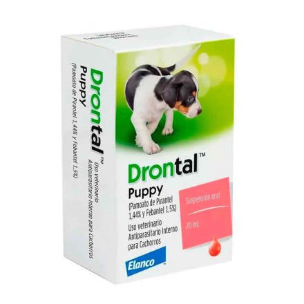 Drontal puppy