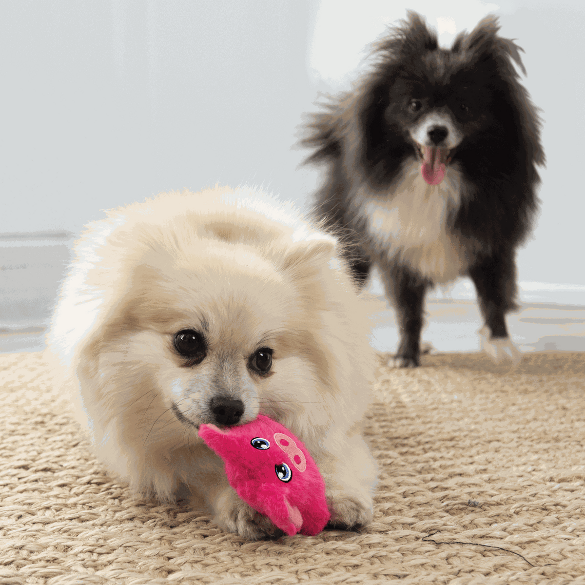 KONG - Peluche snuzzles mini (cerdo)