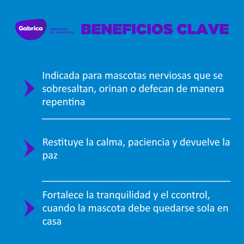 Esencias florales de bach: Ansiedad