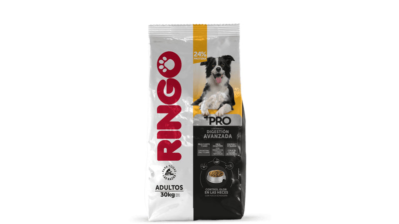 RINGO + PRO - Adulto