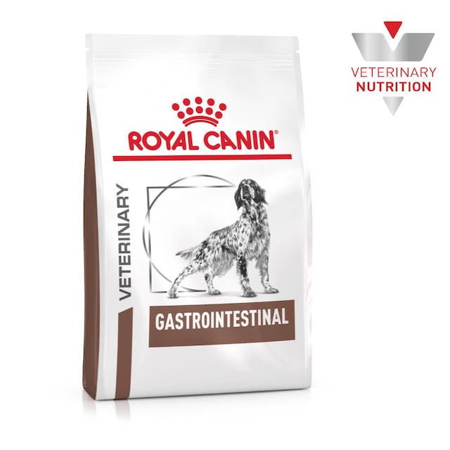 ROYAL CANIN - Veterinary Adulto (Gastrointestinal)