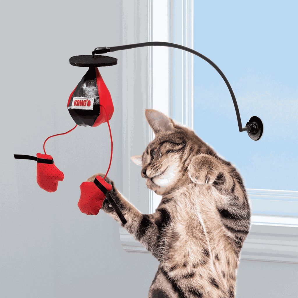 KONG - Juguete para gato ventana connects boxeo