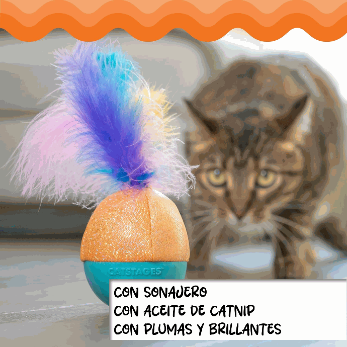 CATSTAGES - Frisky whack wobble ball