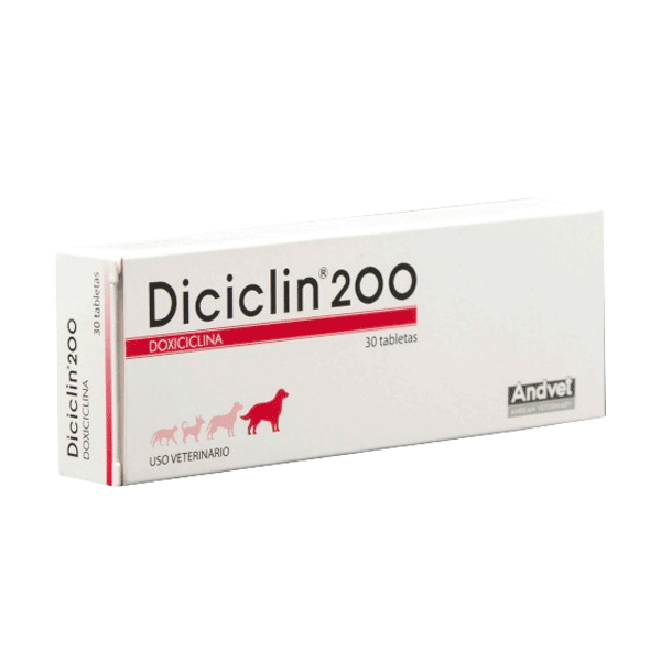 Dicicilin