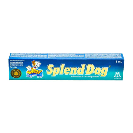 Splend dog
