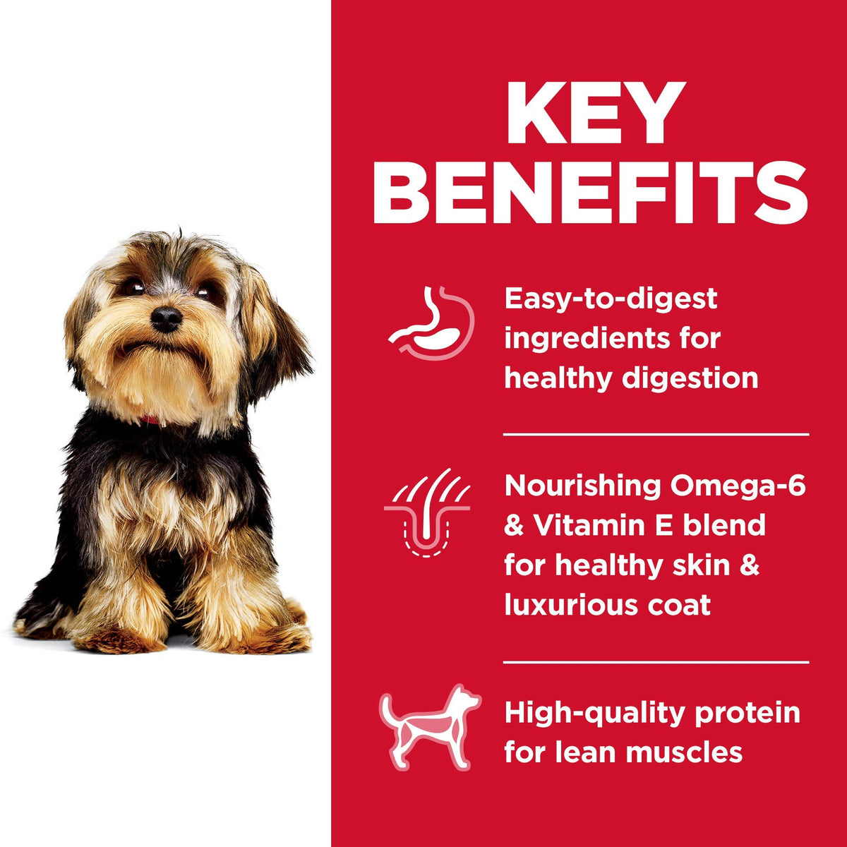 HILLS - Science diet adult small paws (Cordero y arroz)