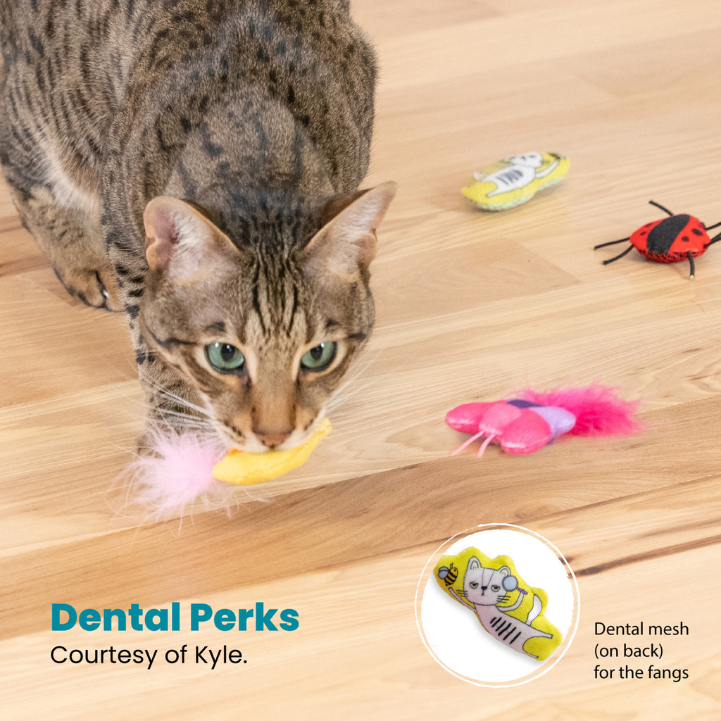 CATSTAGES - Frisky pawrty (3 Piezas)
