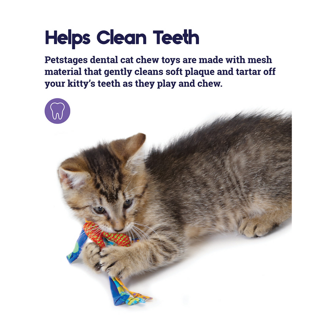 CATSTAGES - Selfcare catnip dental health chew