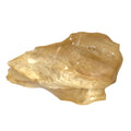 Oreja de res - 2 Und