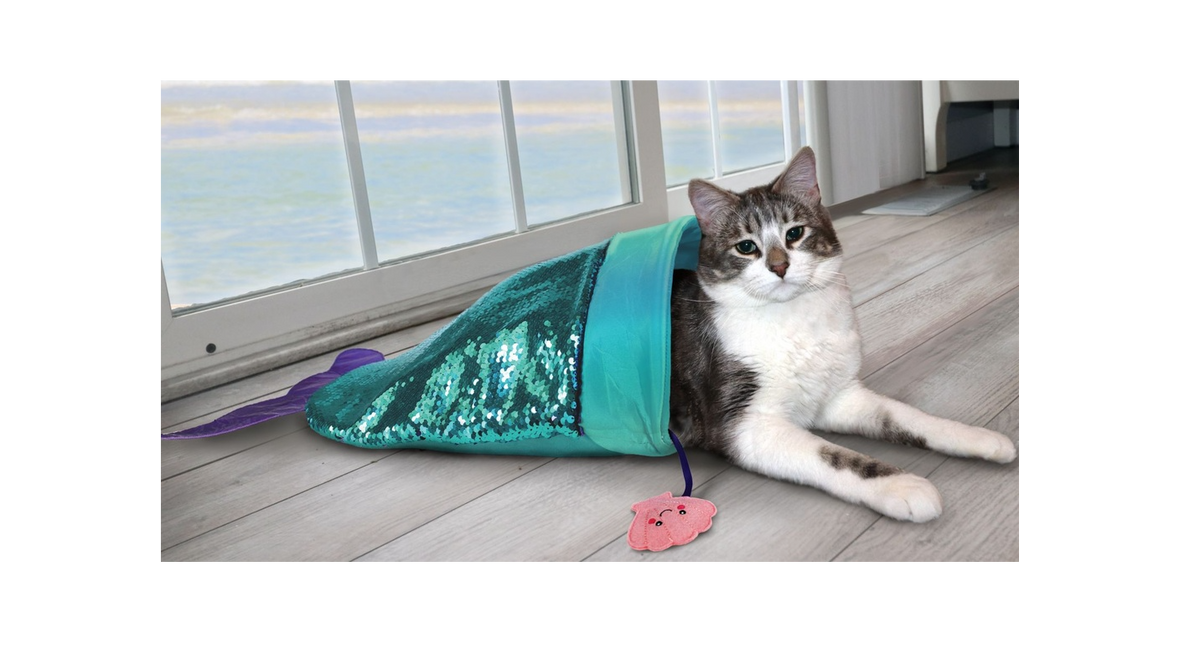 KONG - Juguete para gato tropics play spaces seaquins