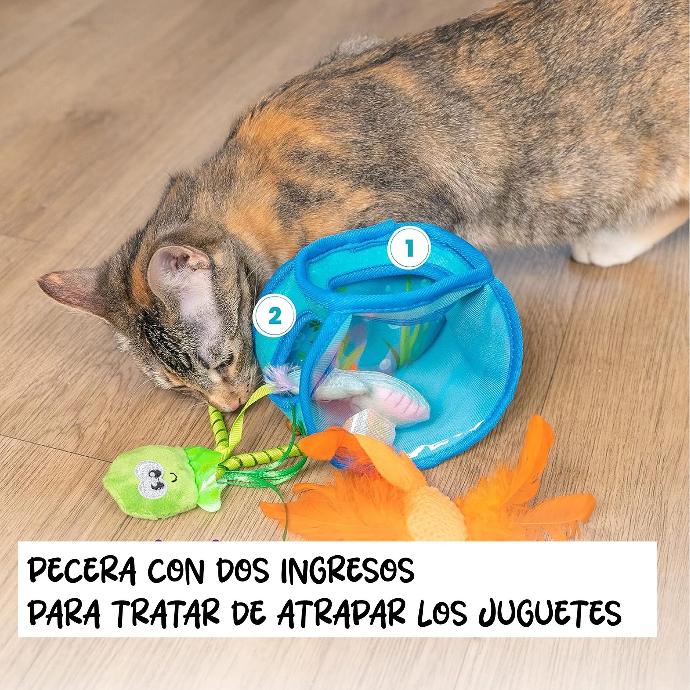 CATSTAGES -  Mindgames hide and seek fish bowl