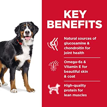 HILLS - Science diet adult large breed (Chicken & barley)