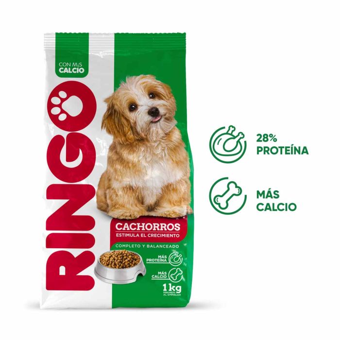 RINGO - Cachorro