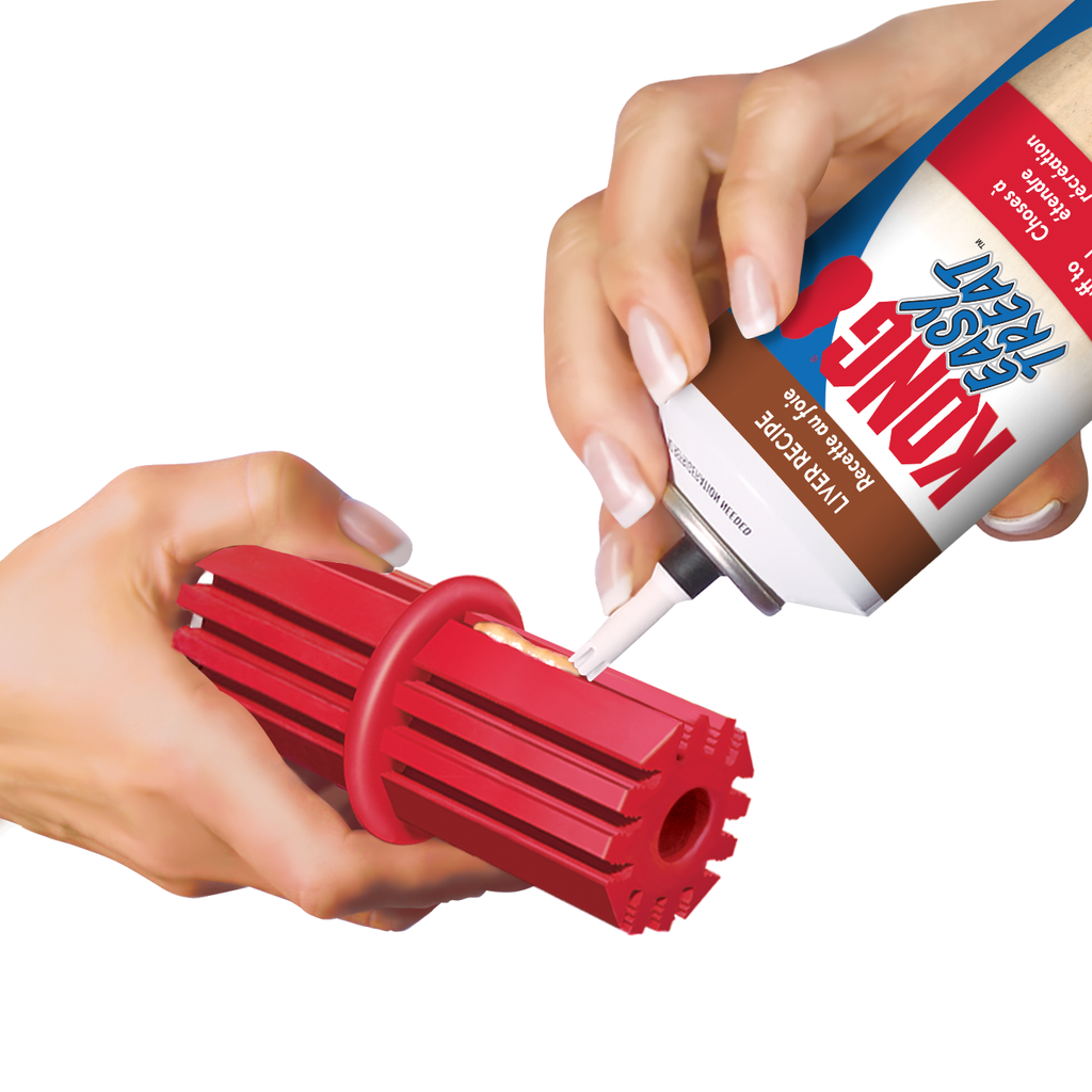 KONG - Barra classic dental