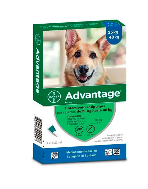 Advantage pipeta perro
