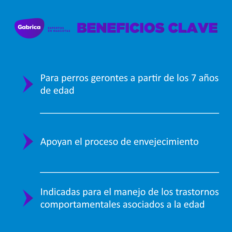 Esencias florales de bach: Apoyando la vejez (Perro)