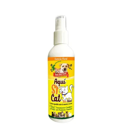 PETS AND CATS - Aquí Si Cat
