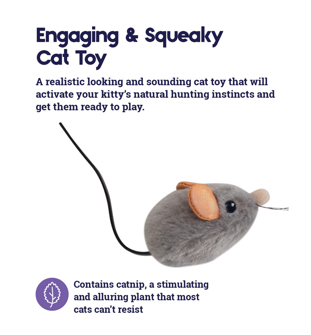 CATSTAGES -   Frisky squeak squeak mouse