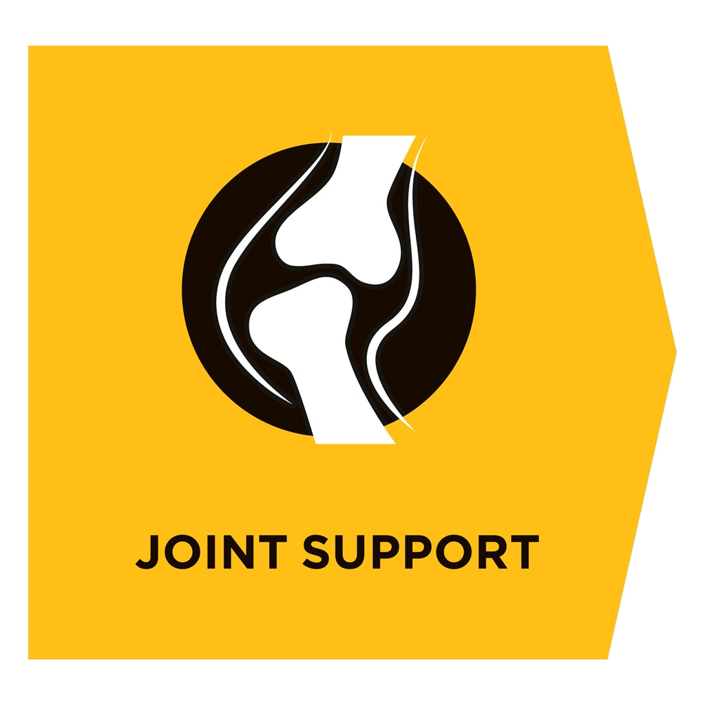 PRO PLAN - Veterinary diets JM (Joint mobility)