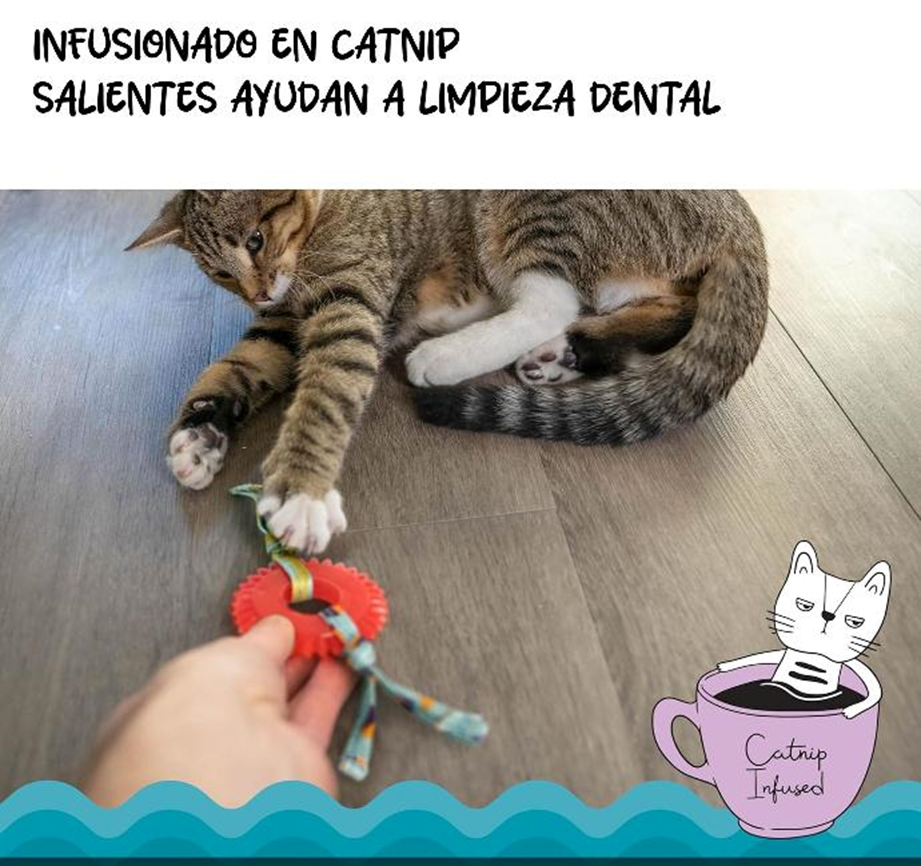CATSTAGES - Selfcare kitty chew wheel