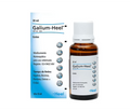 Galium gotas