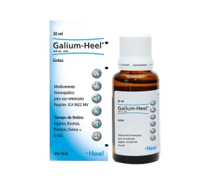 Galium gotas