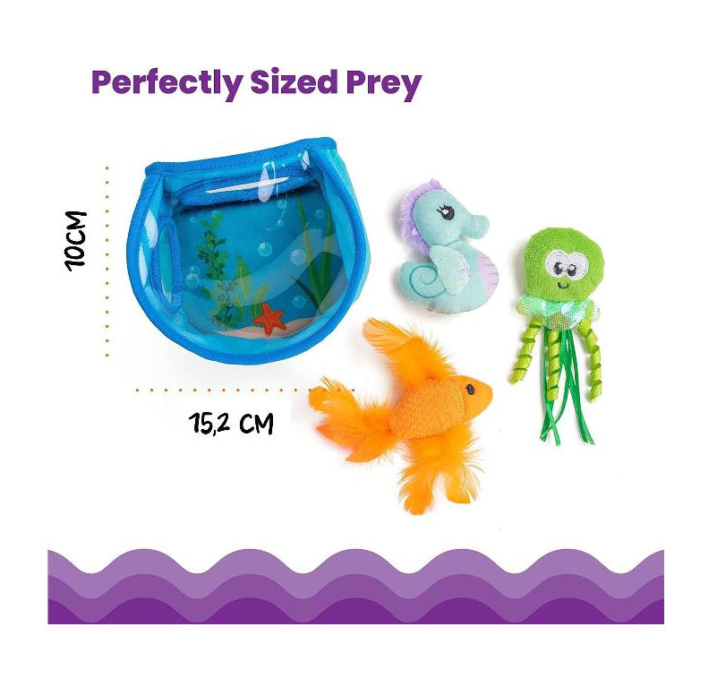 CATSTAGES -  Mindgames hide and seek fish bowl