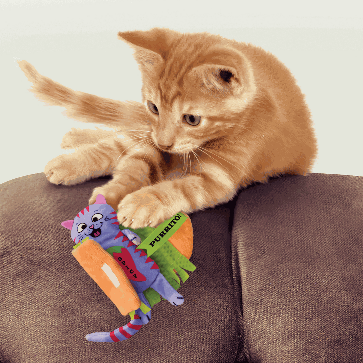 KONG - Juguete para gato pull a part purrito