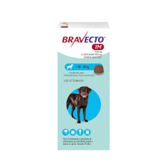 BRAVECTO - Perro 1M