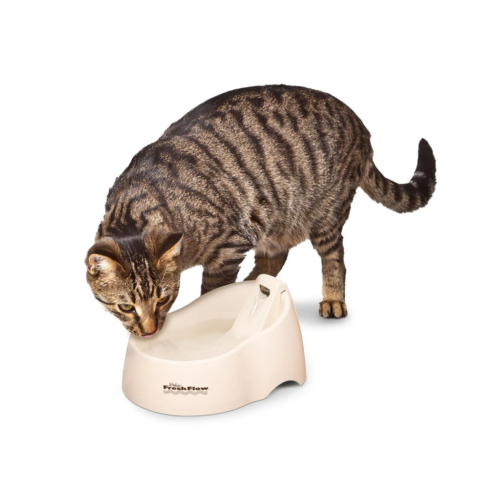 PETMATE - Fuente de agua deluxe fresh flow para gato