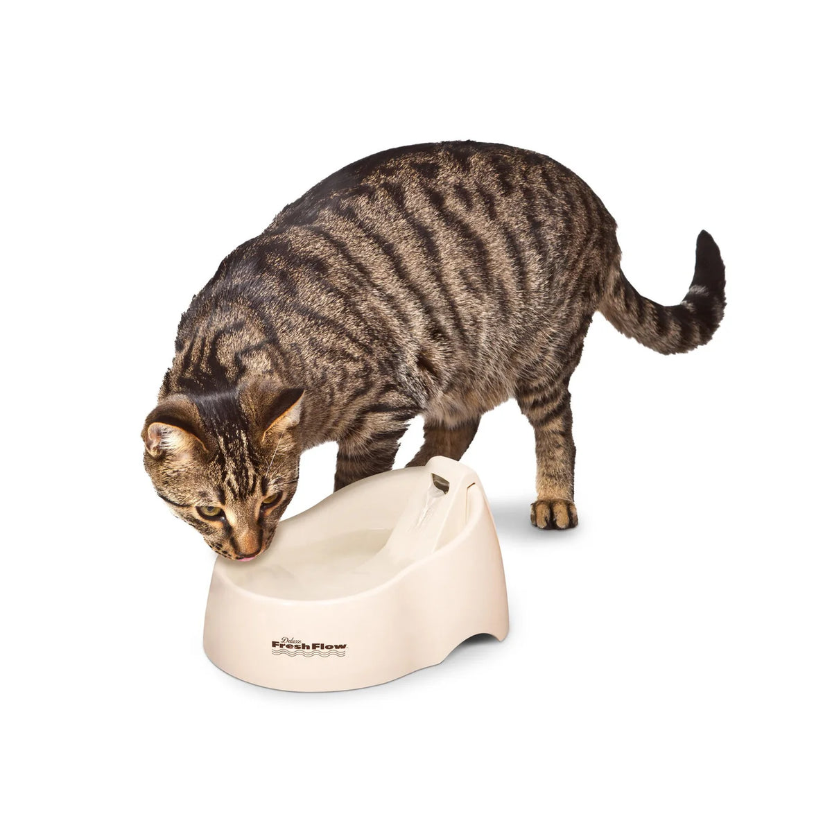 PETMATE - Fuente de agua deluxe fresh flow para gato