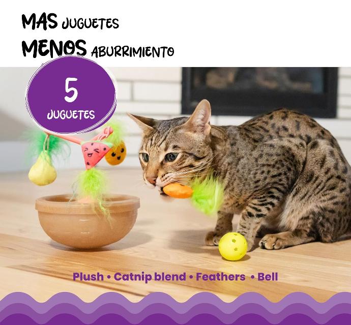 CATSTAGES - Mindgames hunt wobble fruit bowl