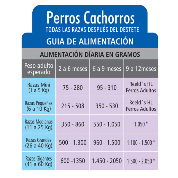 HEALTHY LOVE - Cachorro