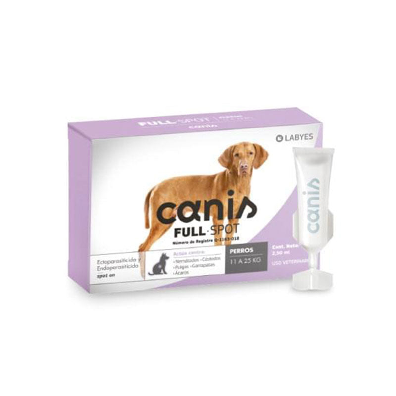Canis fullspot perro