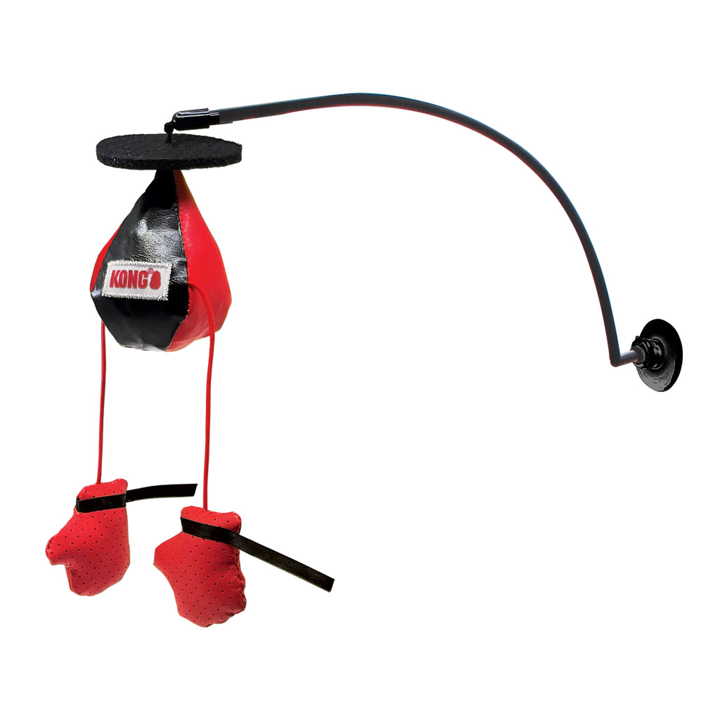 KONG - Juguete para gato ventana connects boxeo