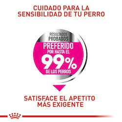 ROYAL CANIN - Mini exigent
