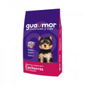 GUAUMOR - Cachorro raza pequeña