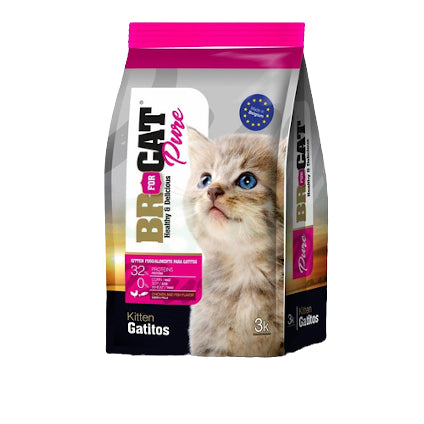 BR FOR CAT - Gatitos