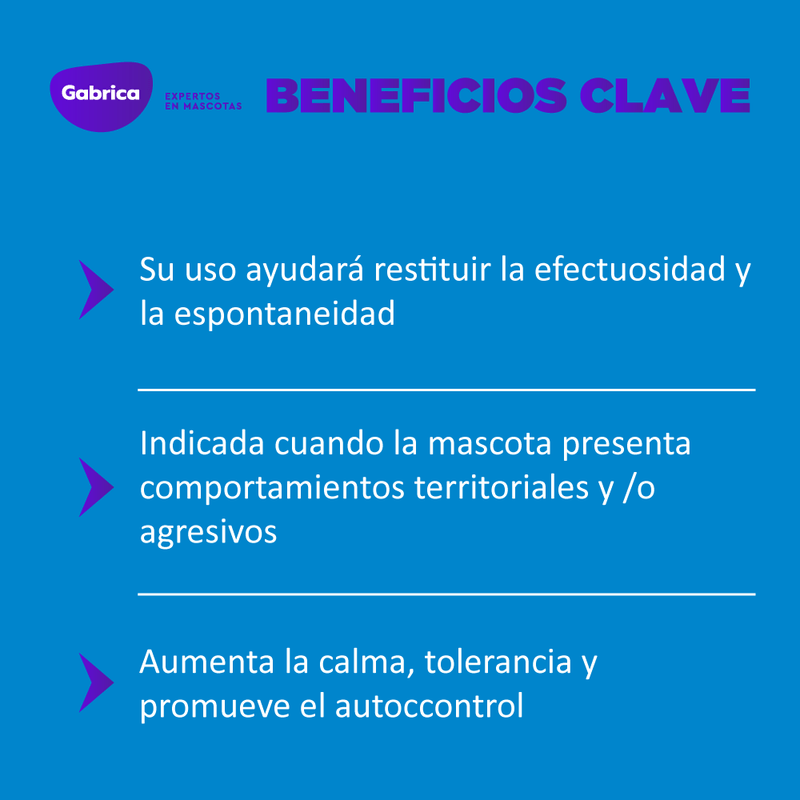 Esencias florales de bach: Agresividad