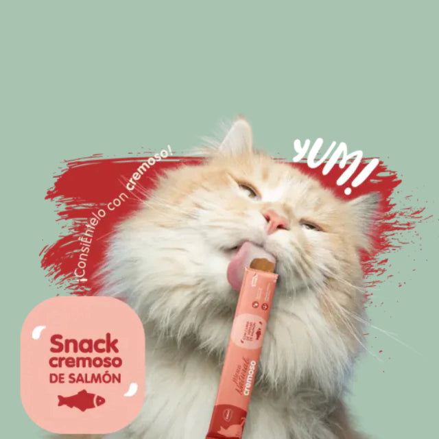 CHUNKY - Menú natural gato cremoso bolsa x6