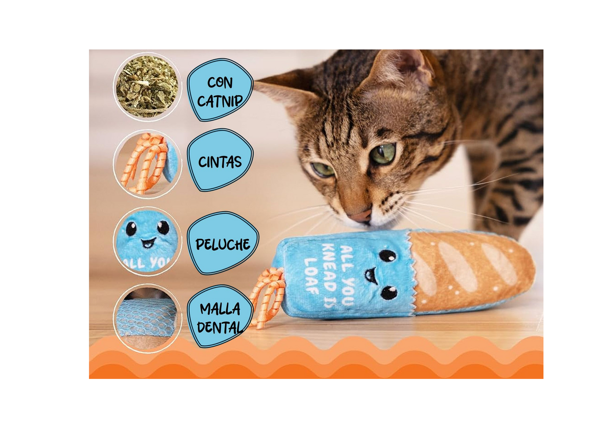 CATSTAGES - Frisky loaf catnip kicker