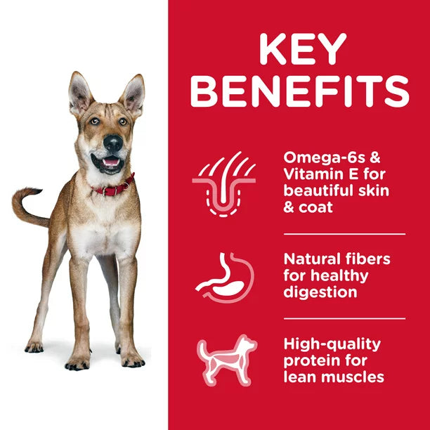 HILLS - Science diet adult (Lamb meal & brown rice)