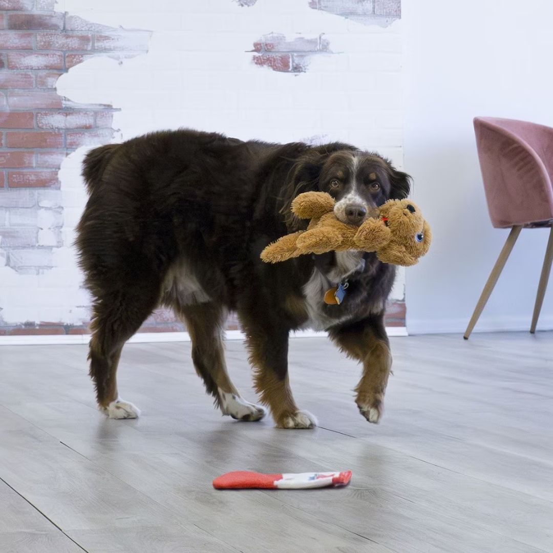 KONG - Peluche comfort pups peanut