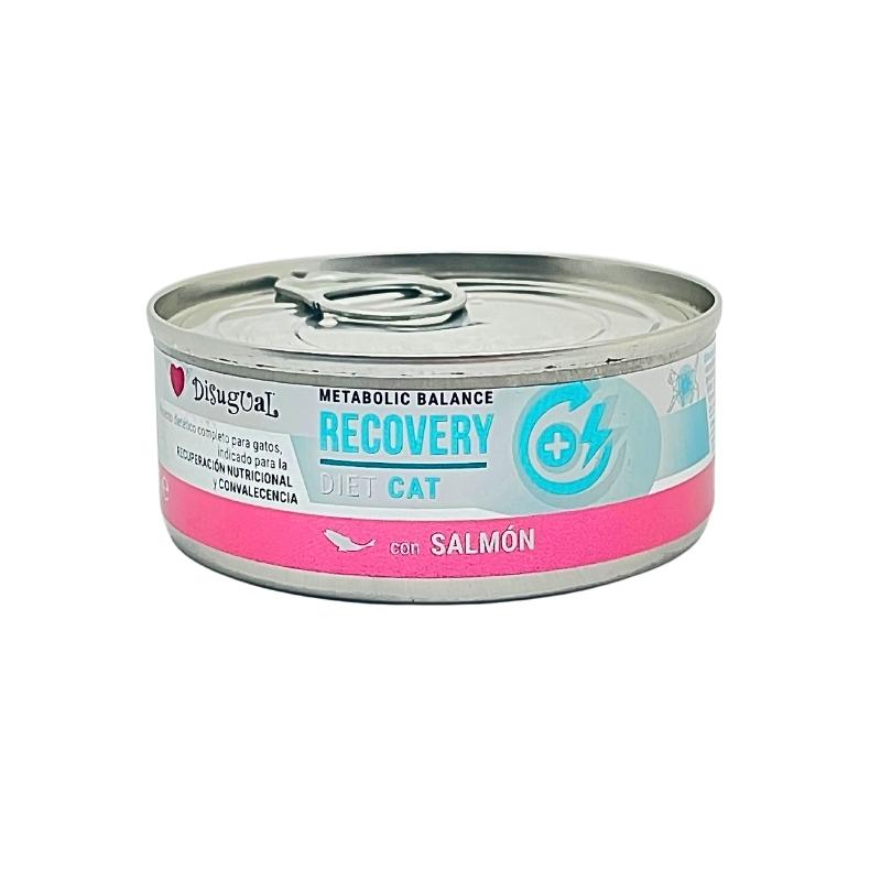 DISUGUAL CAT - Lata Recovery diet (Salmón)