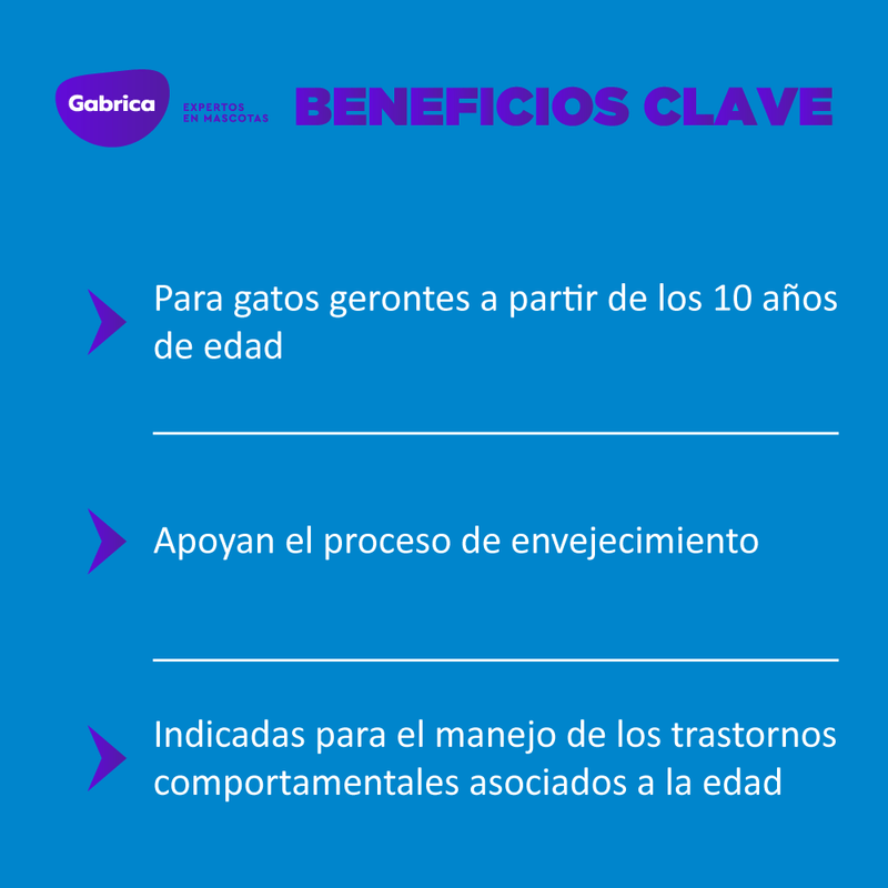 Esencias florales de bach: Apoyando la vejez (Gato)