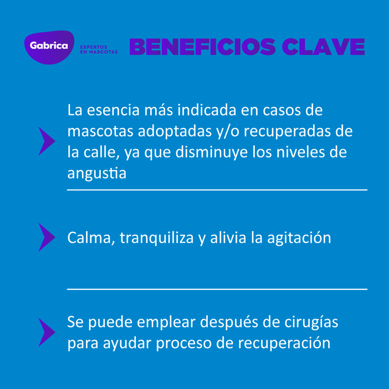 Esencias florales de bach: Rescate
