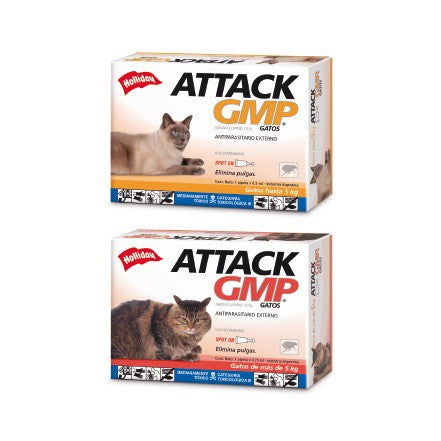 HOLLIDAY - Attack gato pipeta