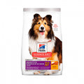 HILLS - Science diet adult sensitive stomach & skin