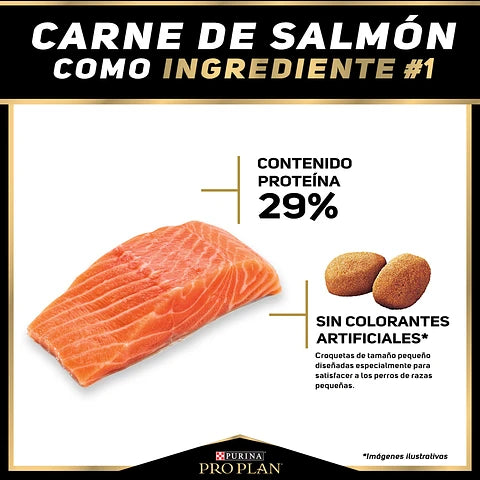 PRO PLAN - Sensitive skin adulto raza pequeña (Salmón)