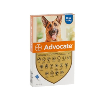 ADVOCATE - Perro pipeta